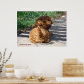 Poster Rookie ne jamais revenir (Cuisine)