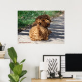 Poster Rookie ne jamais revenir (Bureau à domicile)