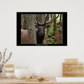 Poster Roosevelt Elk (Cuisine)