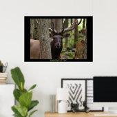 Poster Roosevelt Elk (Bureau à domicile)