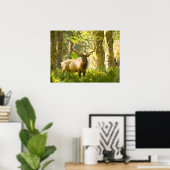 Poster Roosevelt Elk | Olympic National Park, Washington (Bureau à domicile)