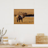 Poster Roosevelt Eull Elk Wyoming (Cuisine)