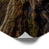 Poster Roosevelt Grove (Coin)