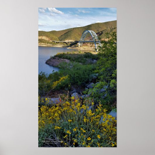 Poster Roosevelt Lake Bridge (Devant)