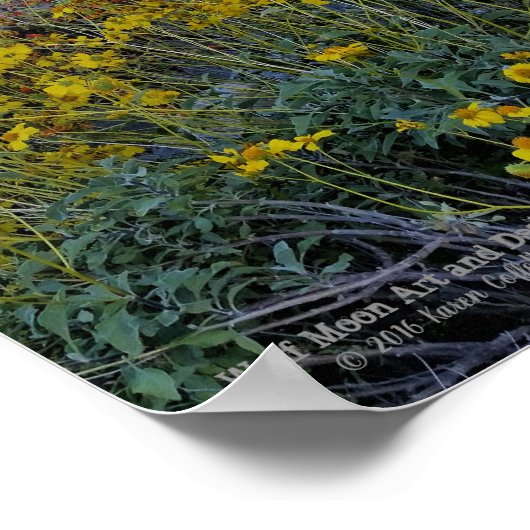 Poster Roosevelt Lake Bridge (Coin)