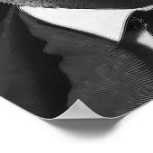 Poster ROOSEVELT MAN dans le discours d'ARENA (Coin)