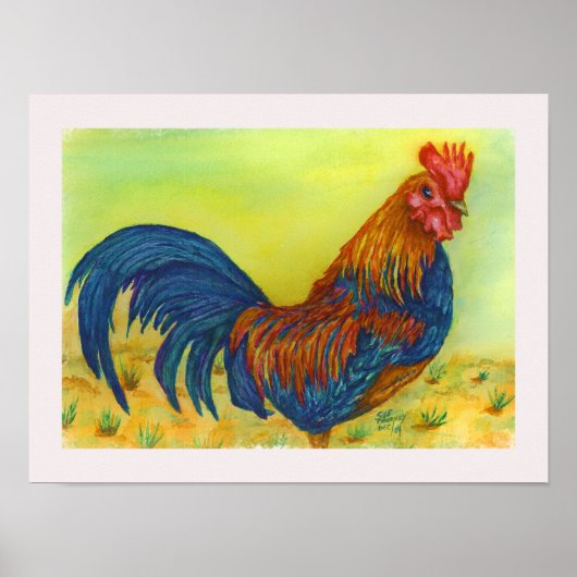 Poster Rooster exceptionnel et coloré (Devant)
