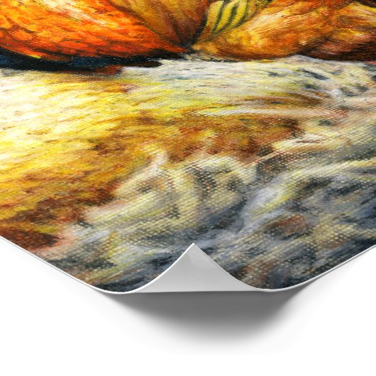 Poster Rooster Fière (Coin)