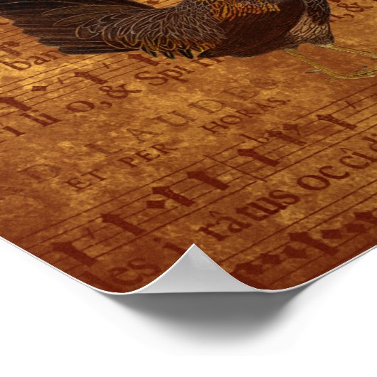 Poster Rooster musical (Coin)