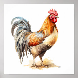 Poster Rooster Neutre Couleurs Aquarelle Peinture
