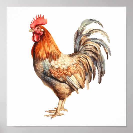 Poster Rooster Neutre Couleurs Aquarelle Peinture (Devant)