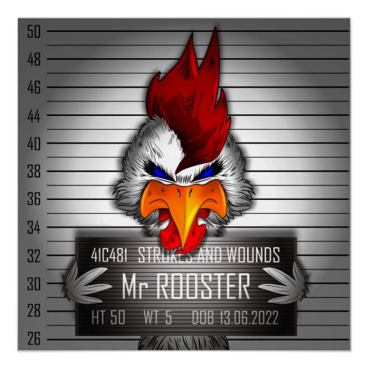 Poster Rooster Perfect Poster (Voorkant)