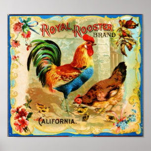 Poster Rooster royal de Californie vintage