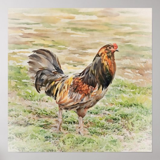 Poster Rooster rustique aquarelle Art carré (Devant)