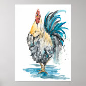 Poster Rooster Splash - Aquarelle Portrait (Devant)