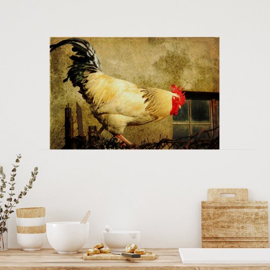Poster Rooster vintage (Cuisine)