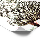 Poster Rooster Vintage ferme Antique White Texture Pays (Coin)