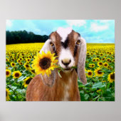 poster "Rory" (Voorkant)