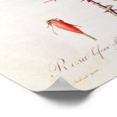 Poster Rosa Bifera Officinalis, de 'Les Roses (Coin)