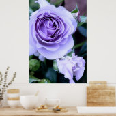 Poster Rosa Blue Bajou (Cuisine)
