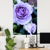Poster Rosa Blue Bajou (Bureau à domicile)