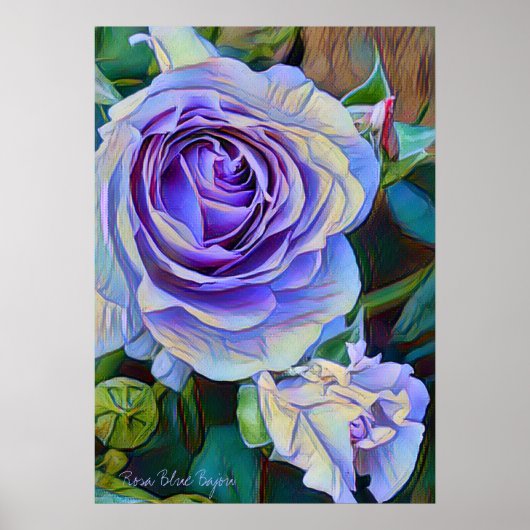 Poster Rosa Blue Bajou [Affiche] (Devant)