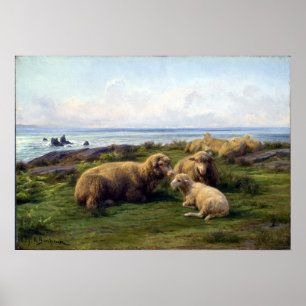 Poster Rosa Bonheur Mouton au bord de la mer