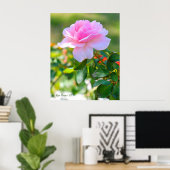 Poster Rosa Bonica '82 (Bureau à domicile)