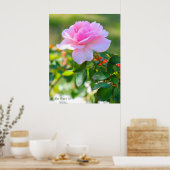 Poster Rosa Bonica '82 (Cuisine)