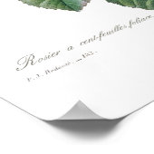 Poster Rosa centifolia (Coin)
