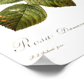 Poster Rosa damascena variegata (Coin)
