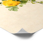 Poster Rosa hemispherica (Coin)