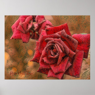 Poster Rosa Night Time [Poster de valeur papier]