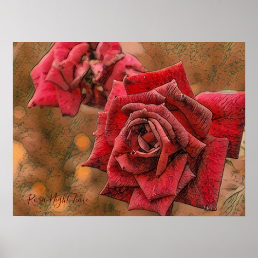Poster Rosa Night Time [Poster de valeur papier] (Devant)