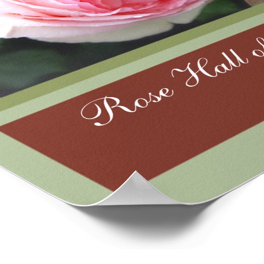 Poster Rosa Pierre de Ronsard [Poster d'Art] (Coin)