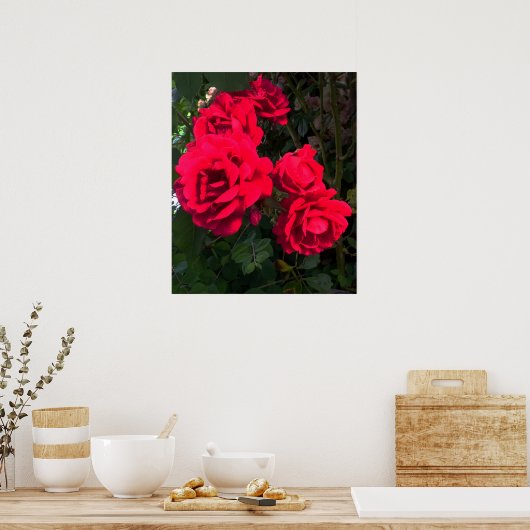 Poster Rosarium de Red Roses (Cuisine)