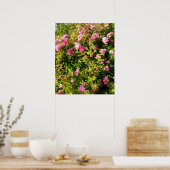 Poster Rosarium fleuri (Cuisine)