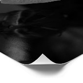 Poster Rose (Coin)