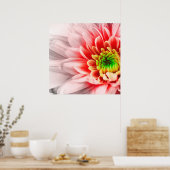 Poster rose (Cuisine)