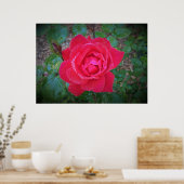 Poster Rose, (Cuisine)