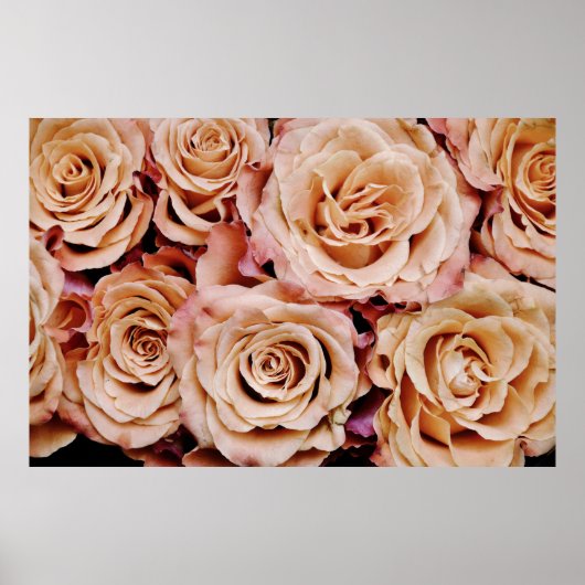 Poster Rose (Devant)