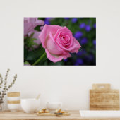 Poster rose (Cuisine)