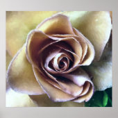 POSTER ROSE (Devant)