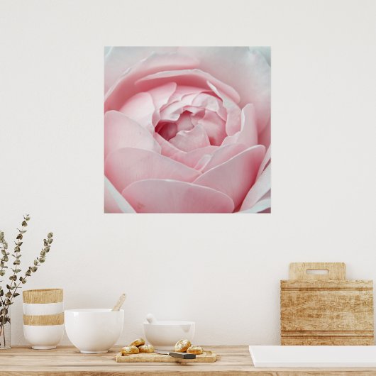 Poster rose (Cuisine)