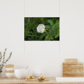 Poster Rose (Cuisine)