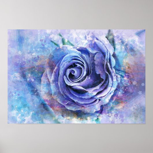 Poster Rose (Devant)