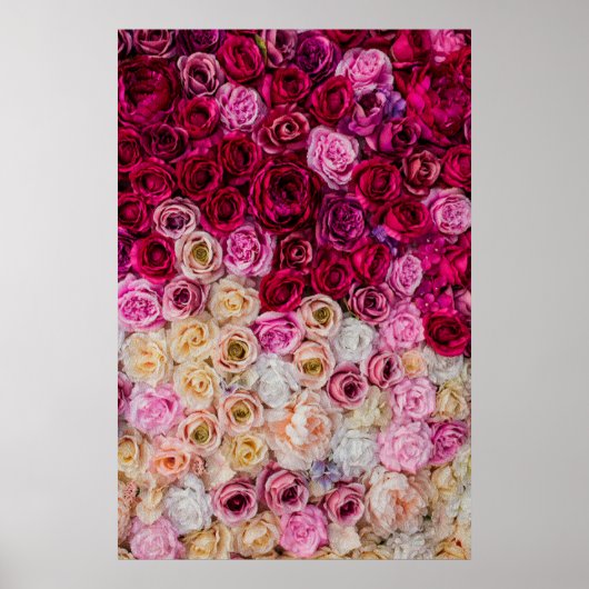 Poster Rose (Devant)