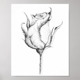 POSTER ROSE