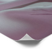 Poster rose (Coin)