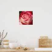 Poster Rose (Cuisine)